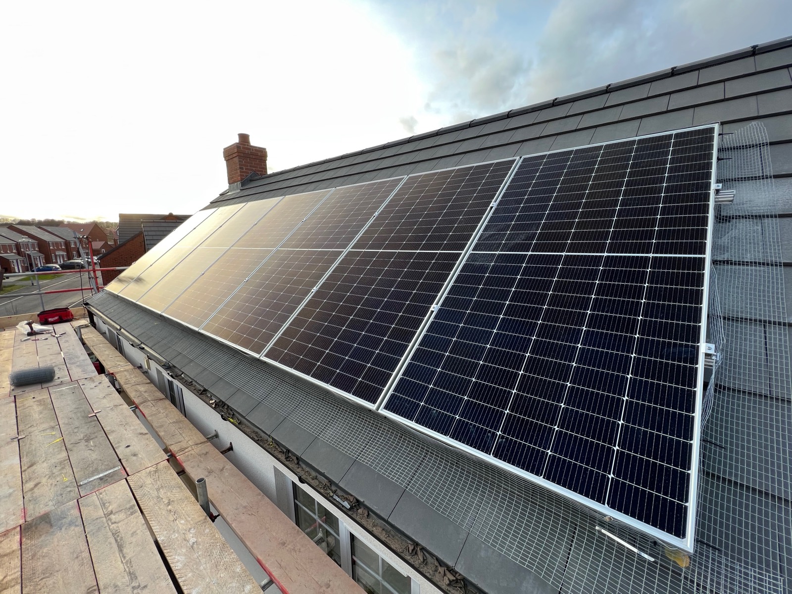 Panel-level detail with the array edge bird-proofed and dressed in.